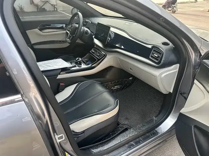 Qin PLUS 2021 EV 400KM Luxury Model 6