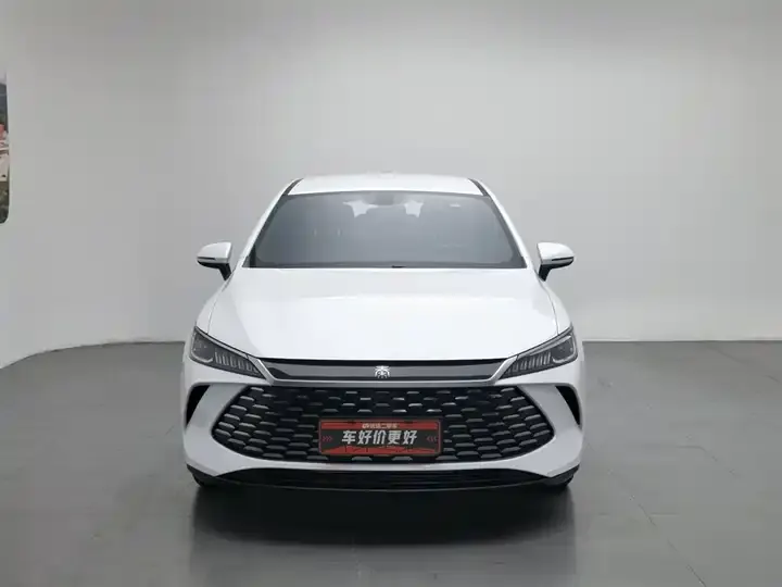 Qin PLUS 2025 DM-i Smart Driving Edition 55KM Leading Model 3