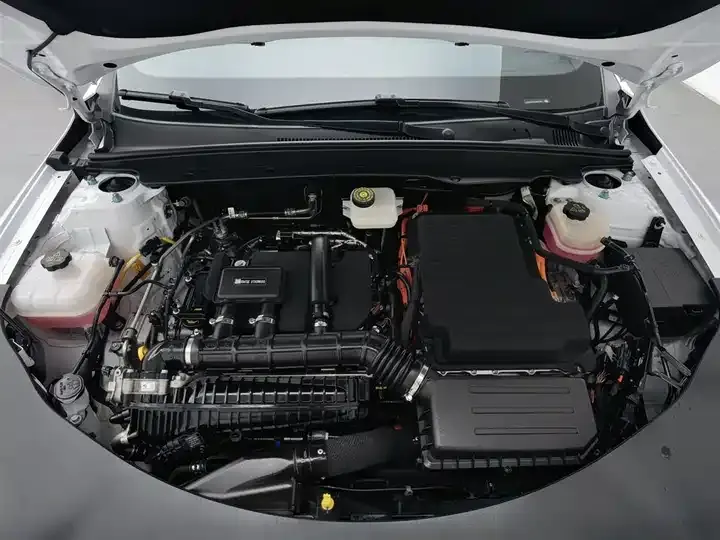 Qin PLUS 2025 DM-i Smart Driving Edition 55KM Leading Model 6
