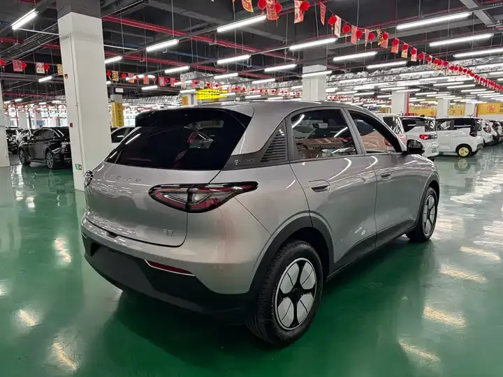 Star Wish 2025 310km Youth Edition 9
