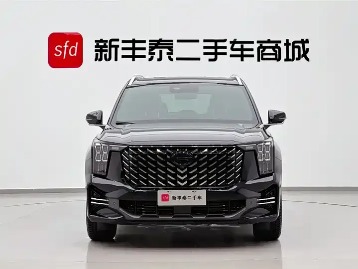 Chuanqi GS8 2025 Pilot Series 2.0TGDI Two-Drive Deluxe Edition 5 2