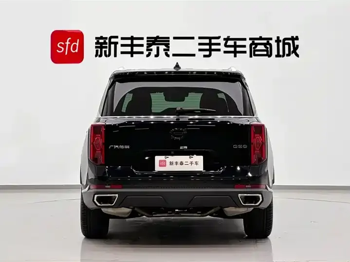 Chuanqi GS8 2025 Pilot Series 2.0TGDI Two-Drive Deluxe Edition 5 7