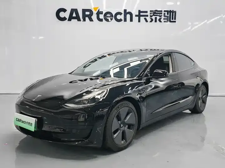 Model 3 2021 Standard Endurance Rear Drive Upgrade - View 1