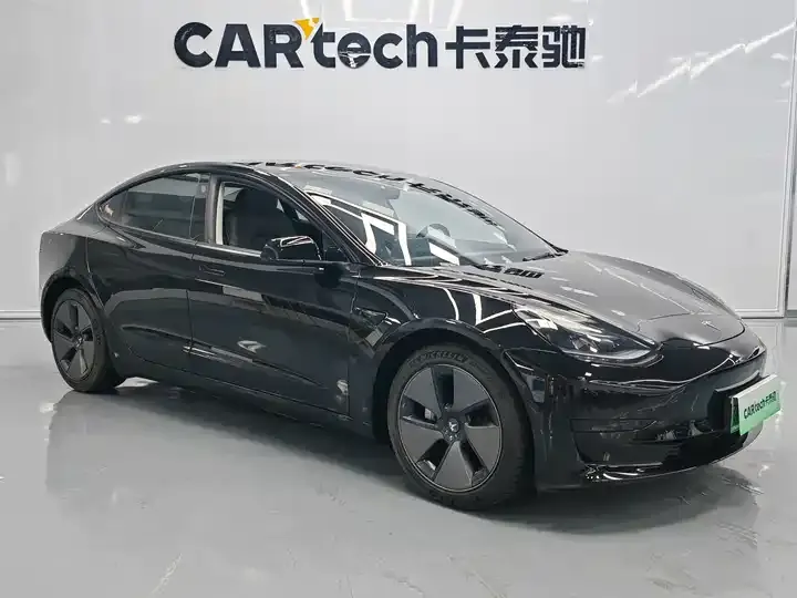 Model 3 2021 Standard Endurance Rear Drive Upgrade 3