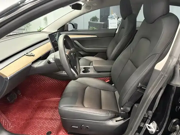 Model 3 2021 Standard Endurance Rear Drive Upgrade 5