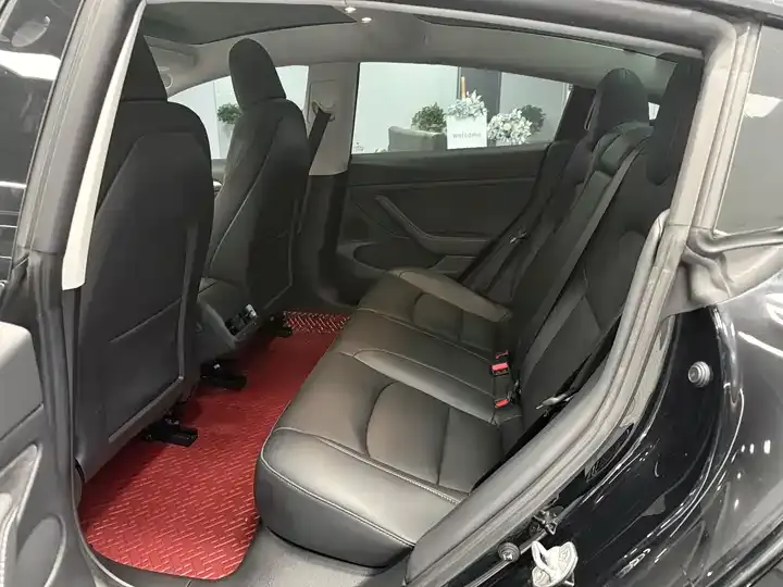 Model 3 2021 Standard Endurance Rear Drive Upgrade 6