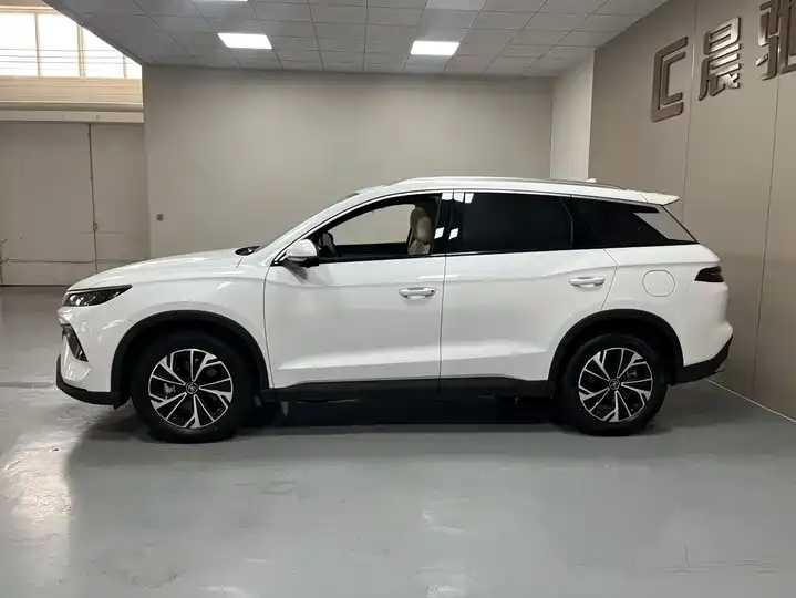 Song Pro New Energy 2025 Second Generation DM-i 75KM Exceed 8