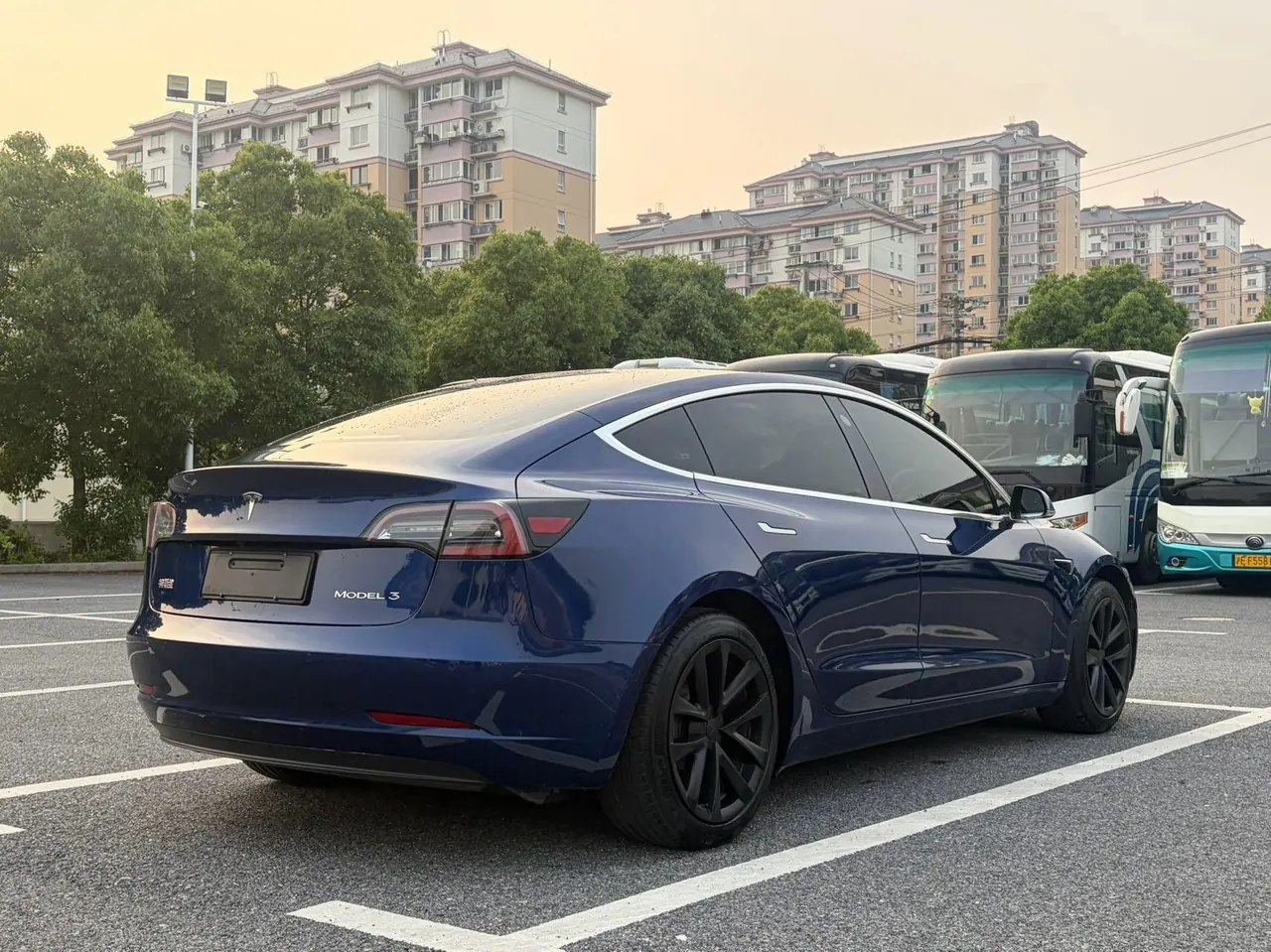 Tesla 2020 Model 3 Standard Endurance Rear Drive Upgraded Automatic Gear 10