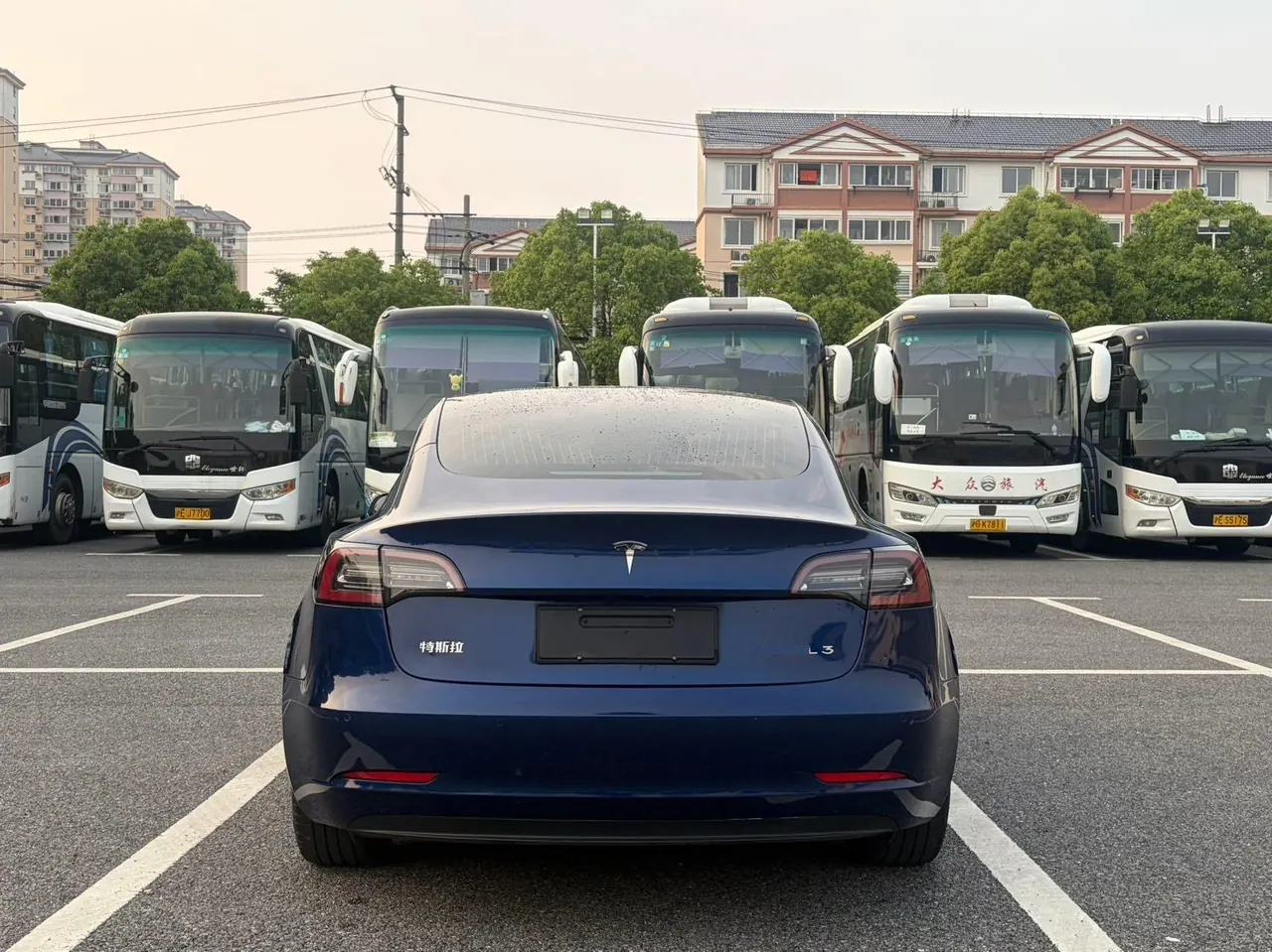 Tesla 2020 Model 3 Standard Endurance Rear Drive Upgraded Automatic Gear 11