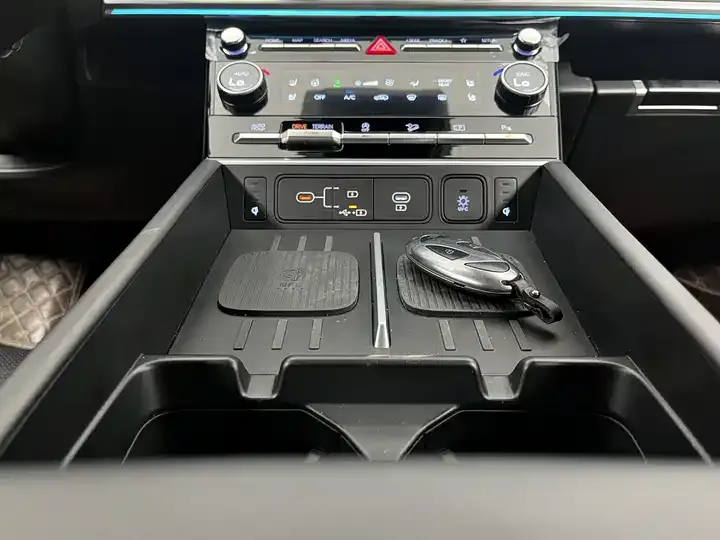 Shengda 2024 2.0T Connoisseur Ultra 11