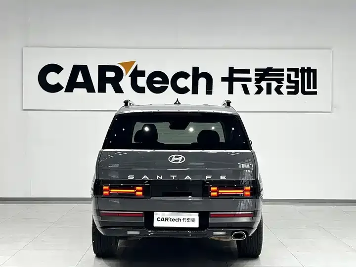 Shengda 2024 2.0T Connoisseur Ultra 4