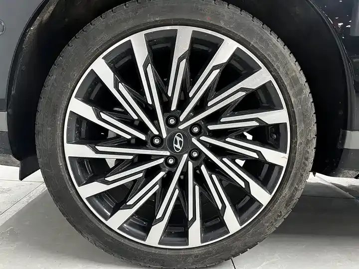 Shengda 2024 2.0T Connoisseur Ultra 5