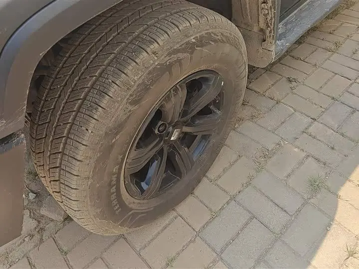 Tank 300 2023 Off-road Edition 2.0T Conqueror 5