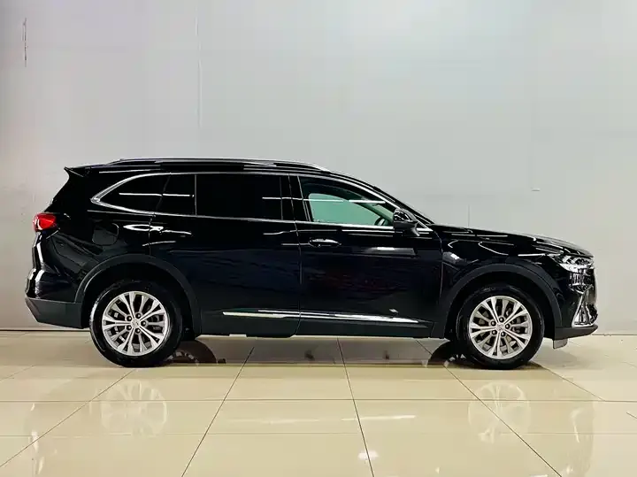 Oncorvee Plus 2022 Oncorvee Plus 652T 5-seat 4-wheel drive luxury model 4