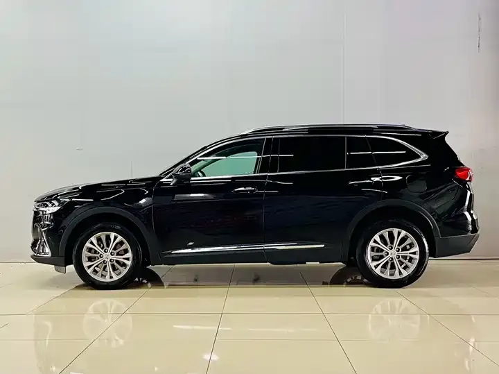 Oncorvee Plus 2022 Oncorvee Plus 652T 5-seat 4-wheel drive luxury model 5