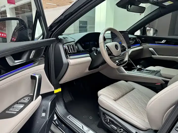 AION LX 2019 80D 10