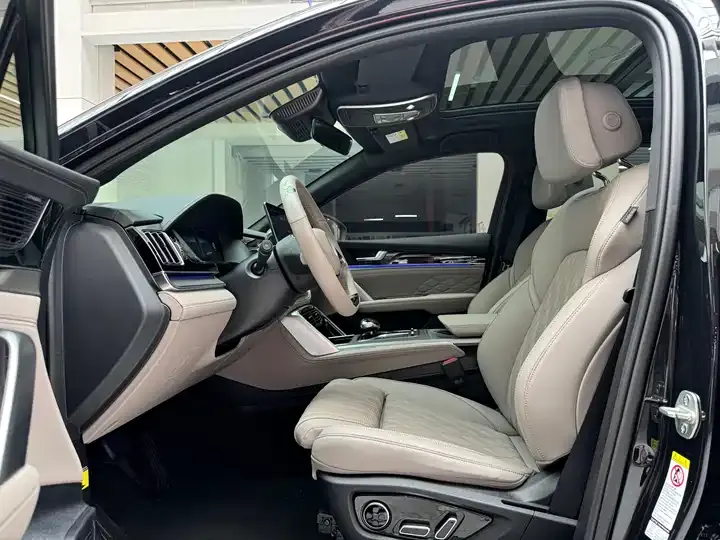 AION LX 2019 80D 11