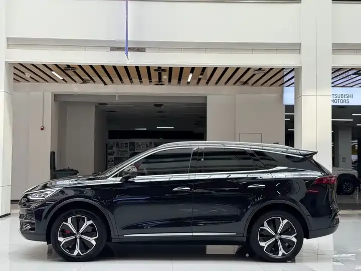 AION LX 2019 80D 9