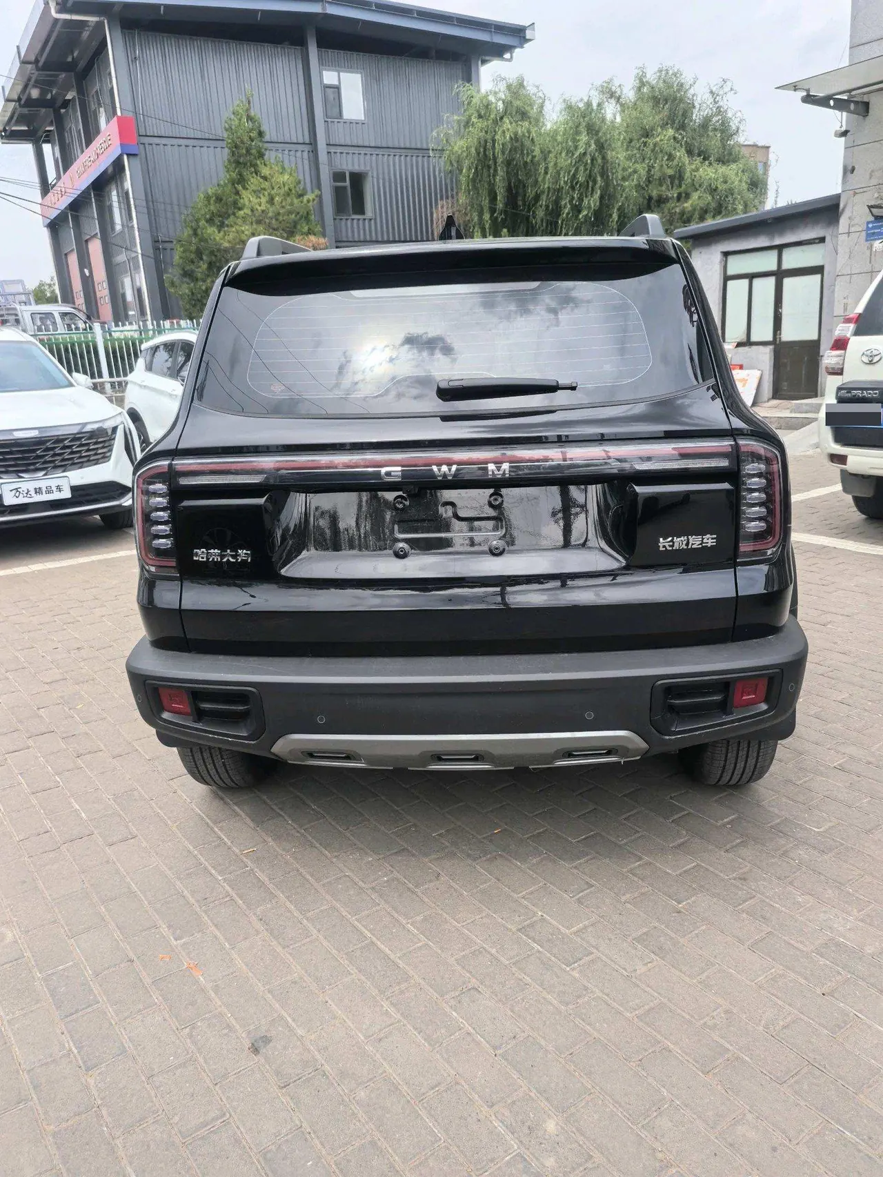Haval 2026 model Big Dog 1.5T Border Collie Edition Automatic Transmission 4