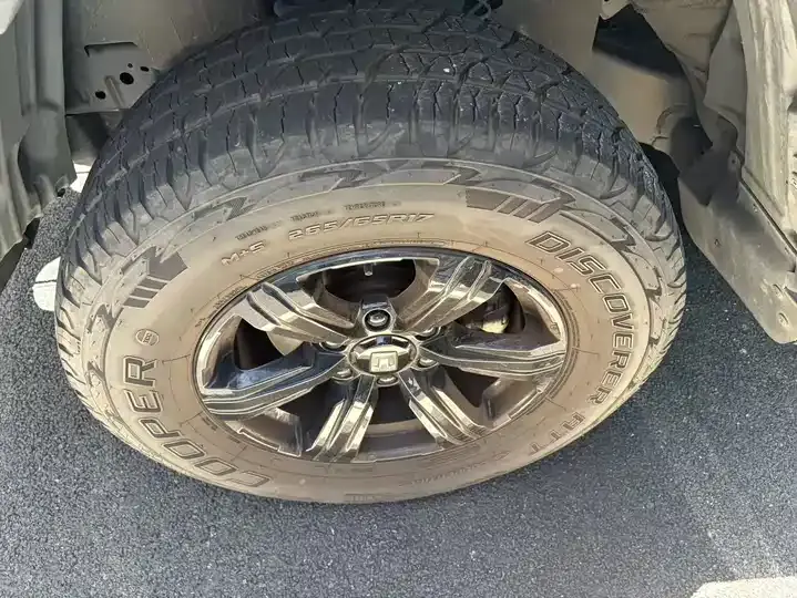 Tank 300 2023 Off-road Edition 2.0T Conqueror 10