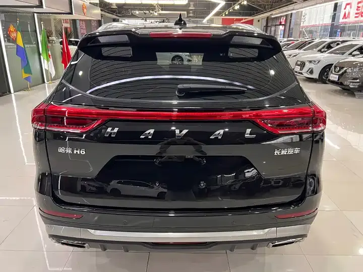 Haval H6 2023 National Tide Edition 1.5T Auto Champion Edition 10