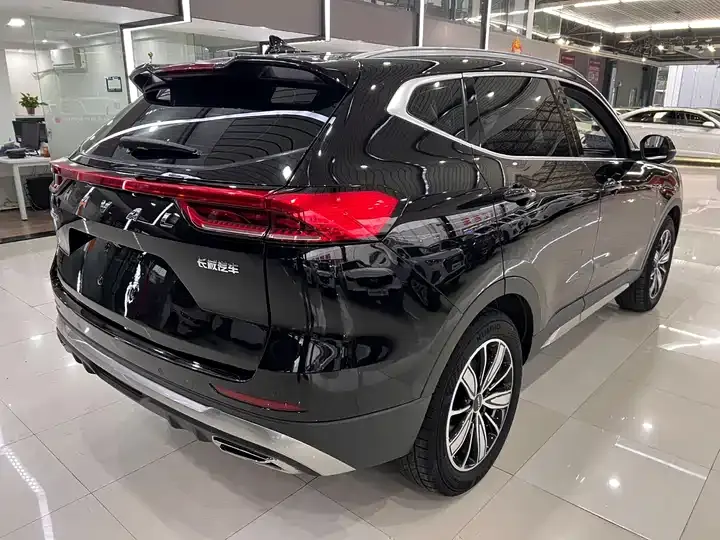 Haval H6 2023 National Tide Edition 1.5T Auto Champion Edition 9