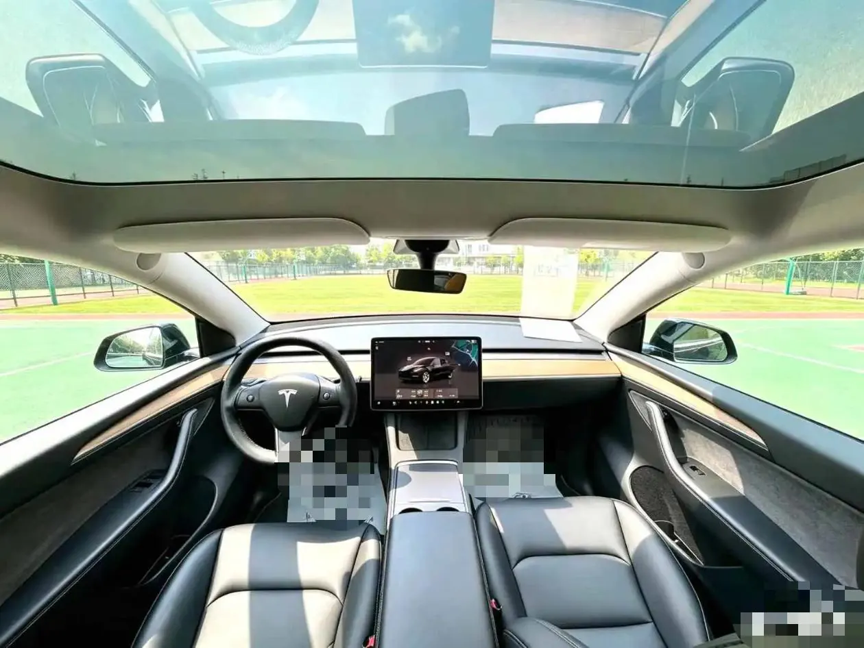 Tesla 2022 Model Y rear-wheel drive version (facelift) automatic gear 11