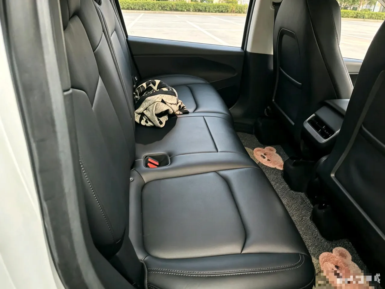 Tesla 2022 Model Y rear-wheel drive version (facelift) automatic gear 2
