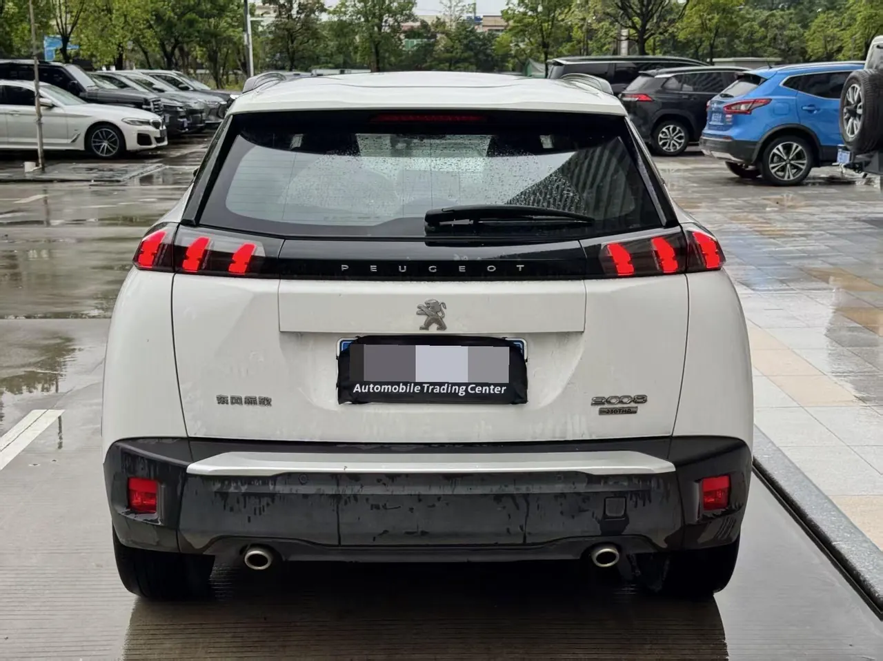 Peugeot 2022 2008 1.2THP 230THP THE ONE Automatic 8