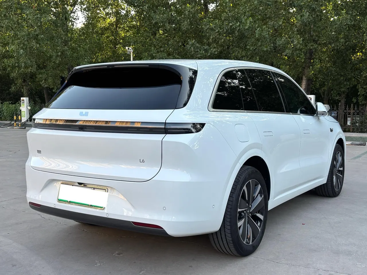 Li 2025 L6 Pro Intelligent Rejuvenation Automatic Gear 4