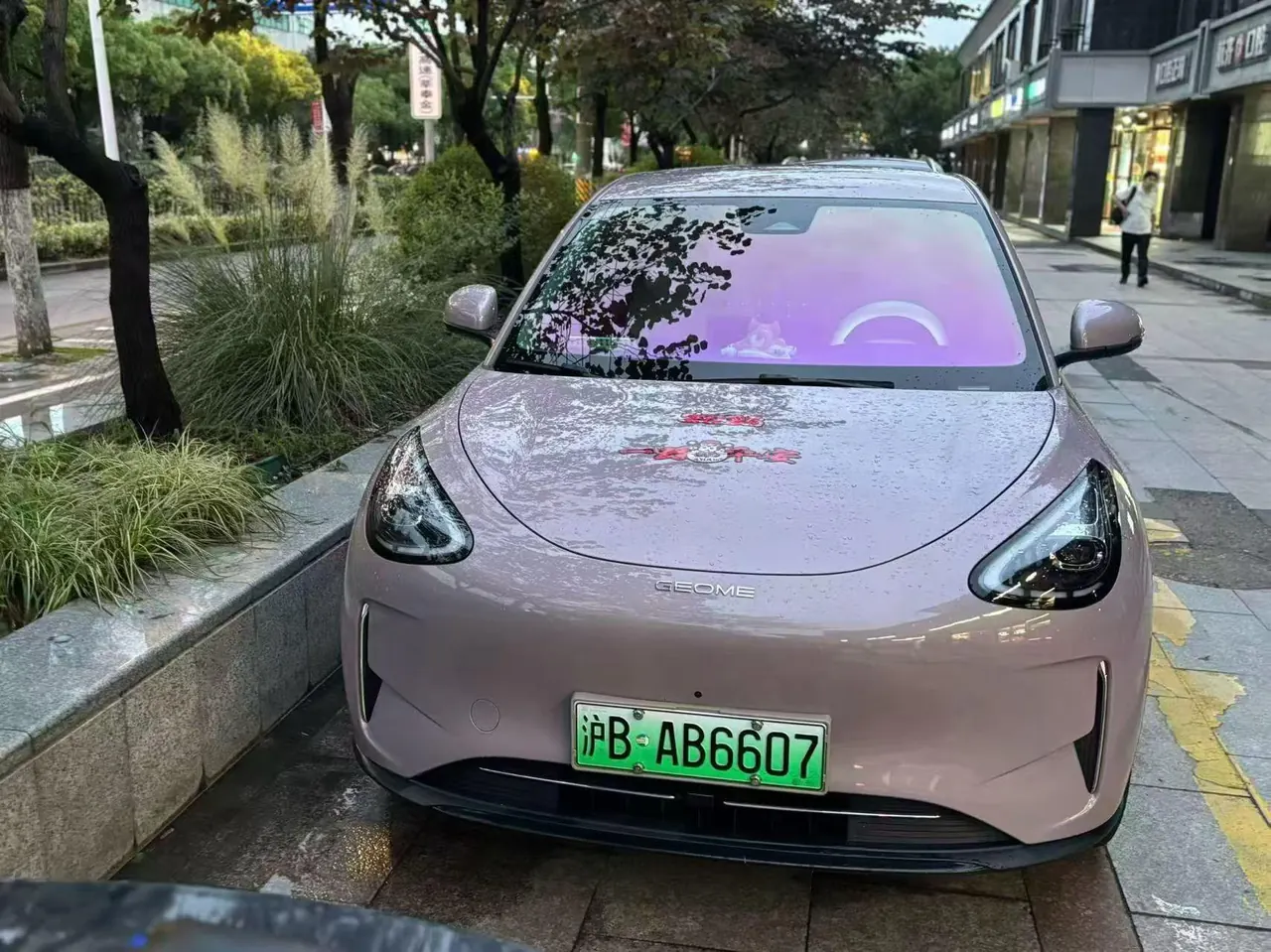 Geely 2025 Star Wish UP 410km Discovery Edition Automatic Gear 3