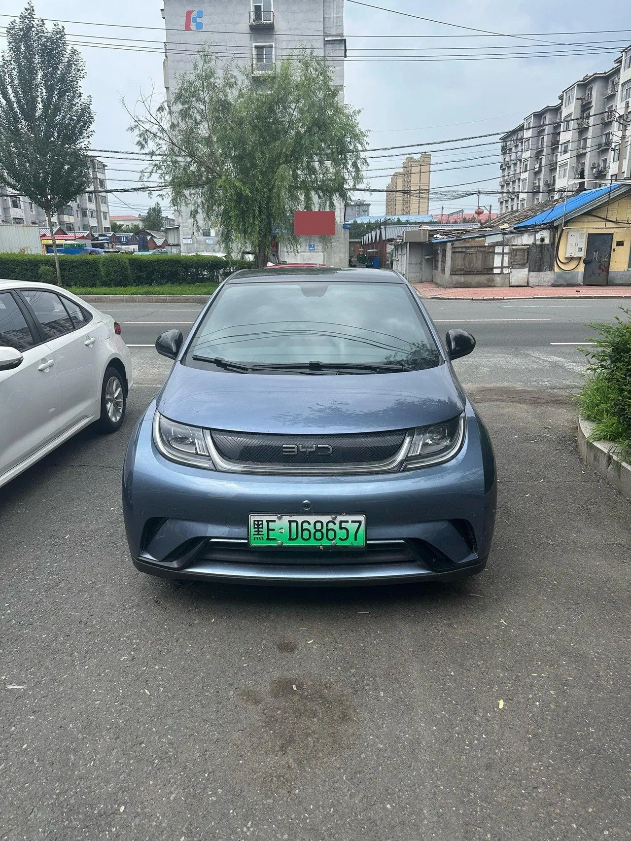 BYD 2023 Dolphin 420km Fashion Edition Automatic 2