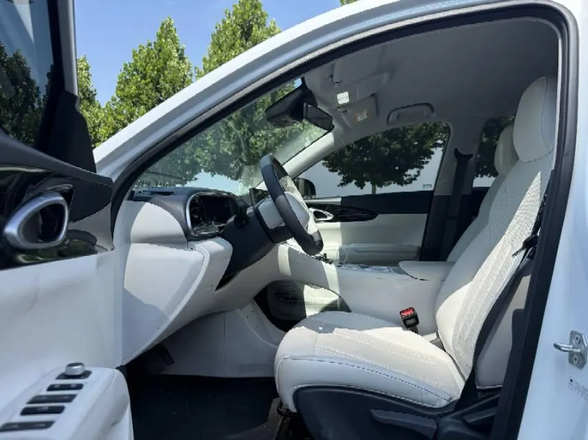 Geely 2024 Star Wish 310km Youth Edition Automatic Gear 5