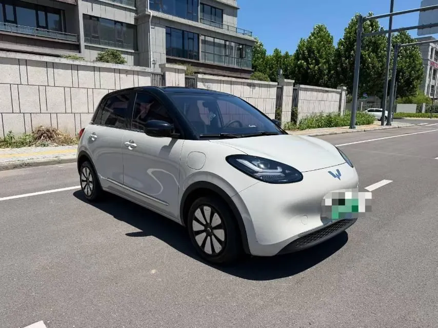 WuLing 2024 Plantronics 333km LingBox Connected Automatic Gear 3