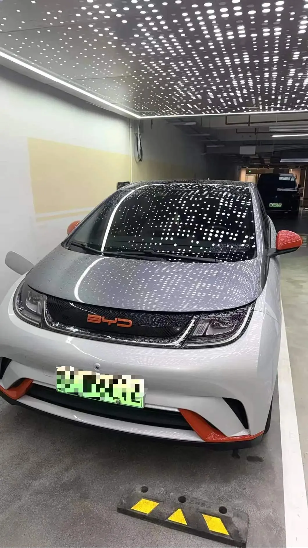 BYD 2021 Dolphins 405km Free Edition Automatic 2