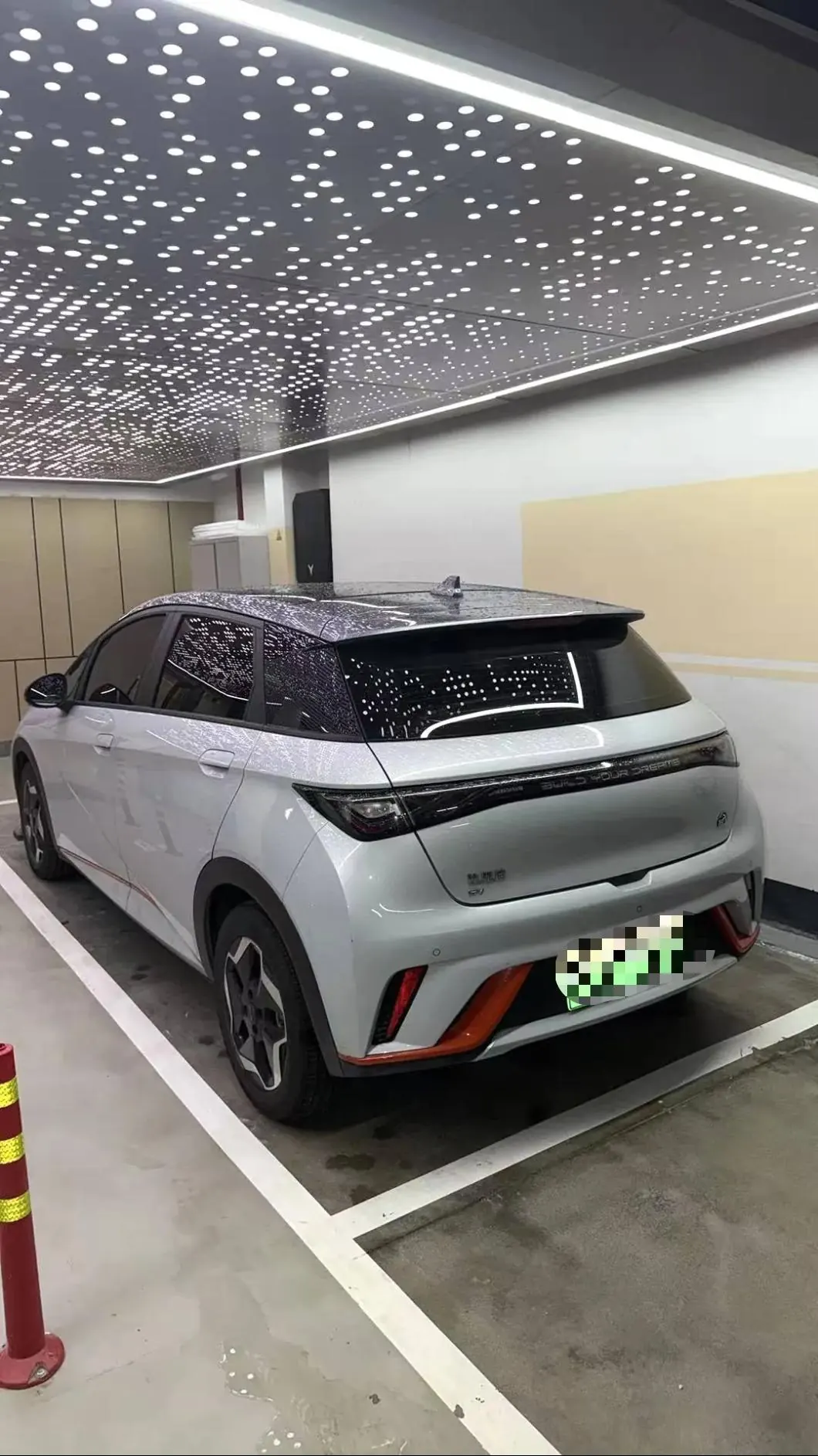 BYD 2021 Dolphins 405km Free Edition Automatic 3