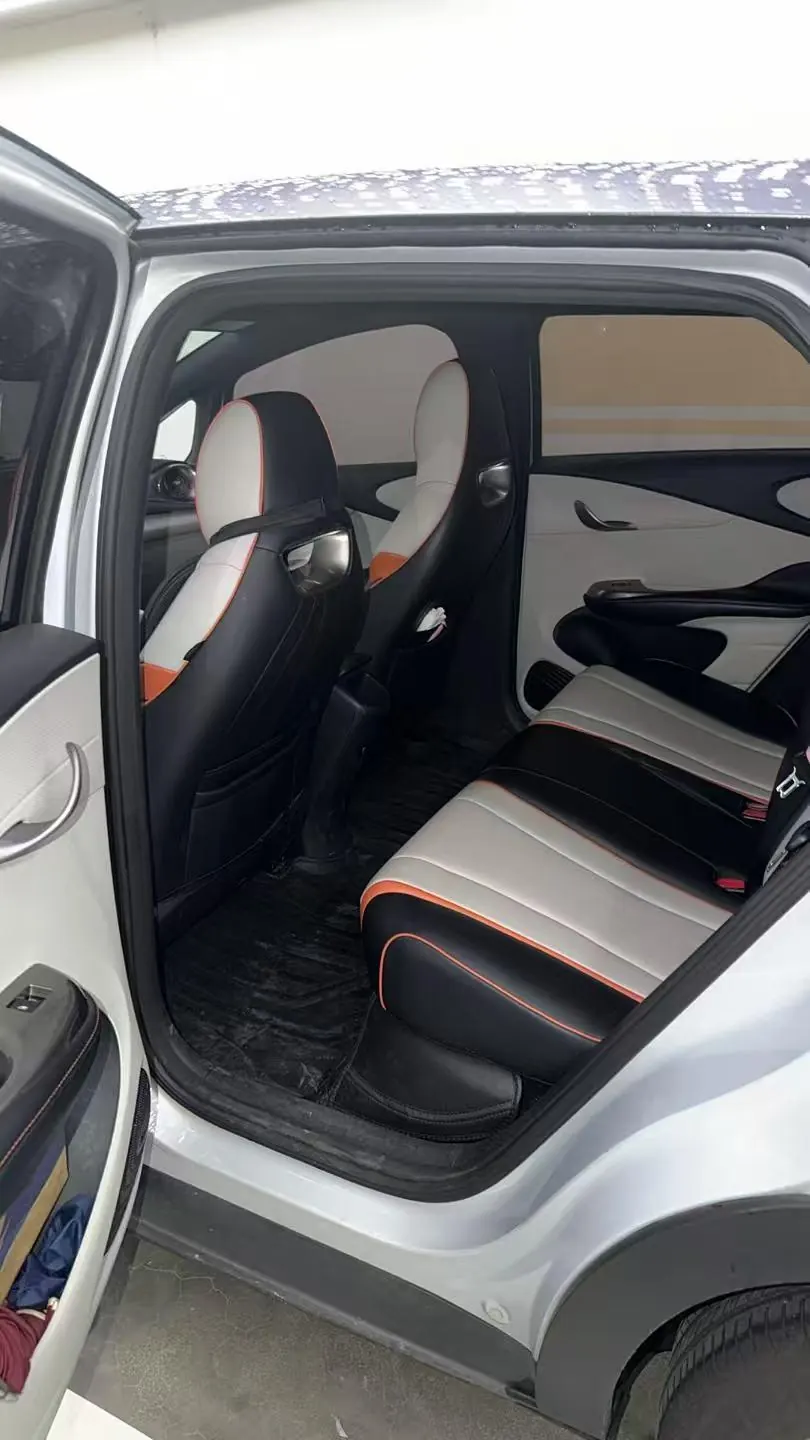 BYD 2021 Dolphins 405km Free Edition Automatic 5