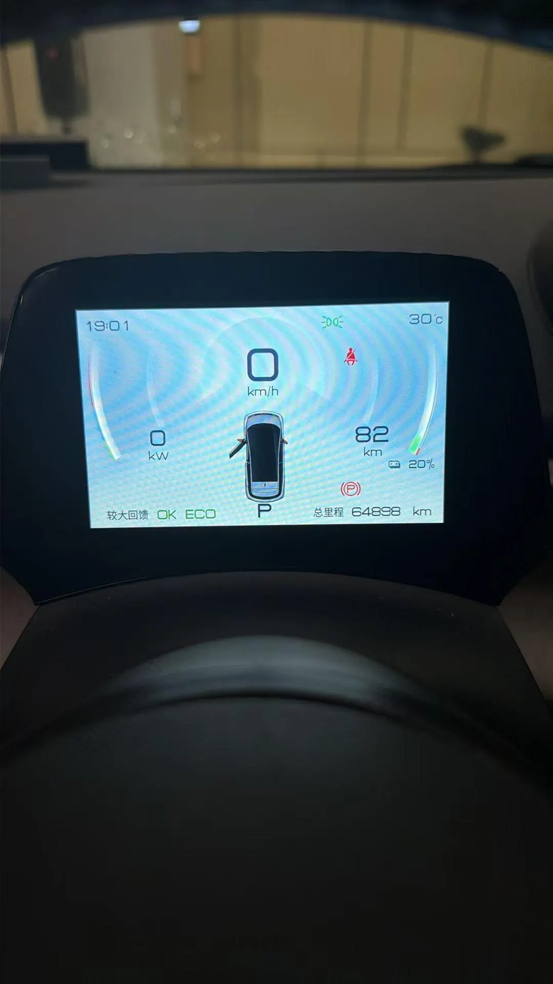 BYD 2021 Dolphins 405km Free Edition Automatic 6