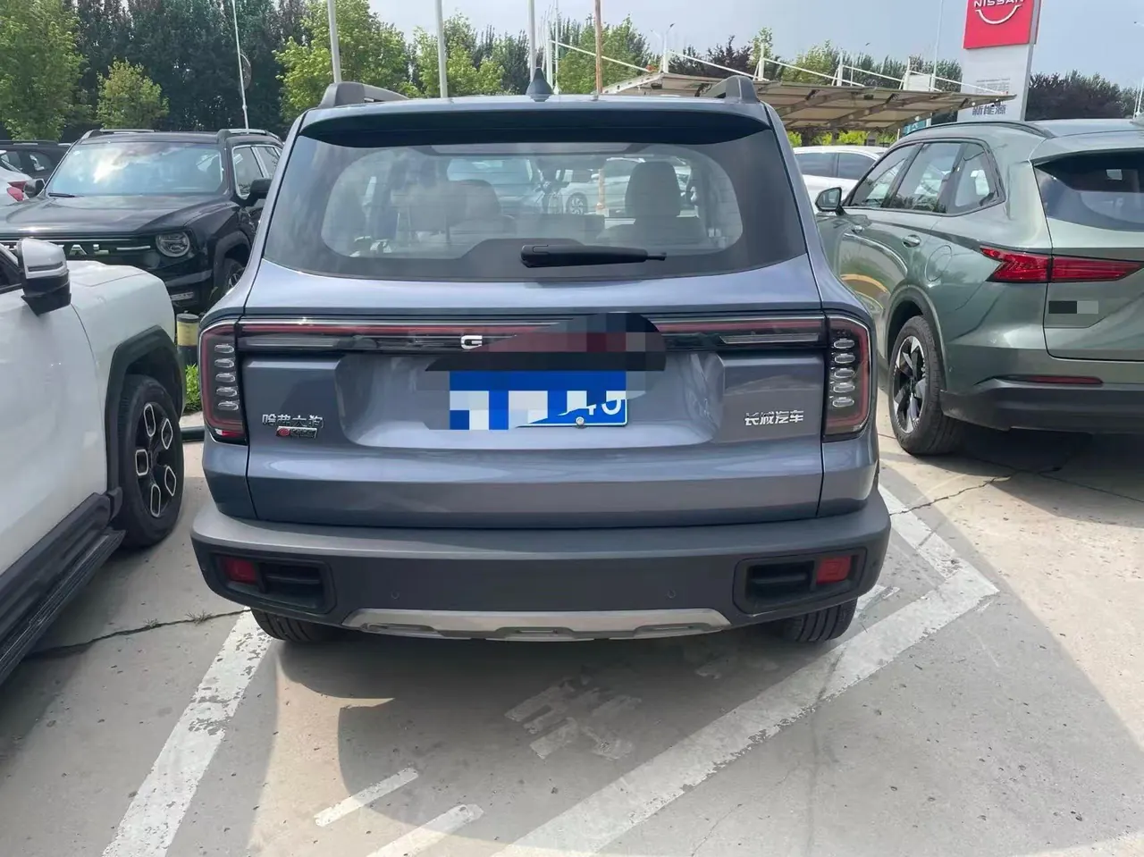 Haval 2026 model Big Dog 1.5T Border Collie Edition Automatic Transmission 3