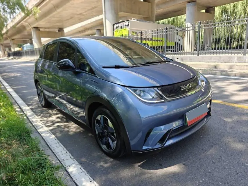 BYD 2025 Dolphins 420km Free Edition Automatic - View 1