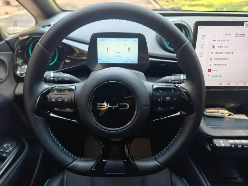 BYD 2025 Dolphins 420km Free Edition Automatic 13