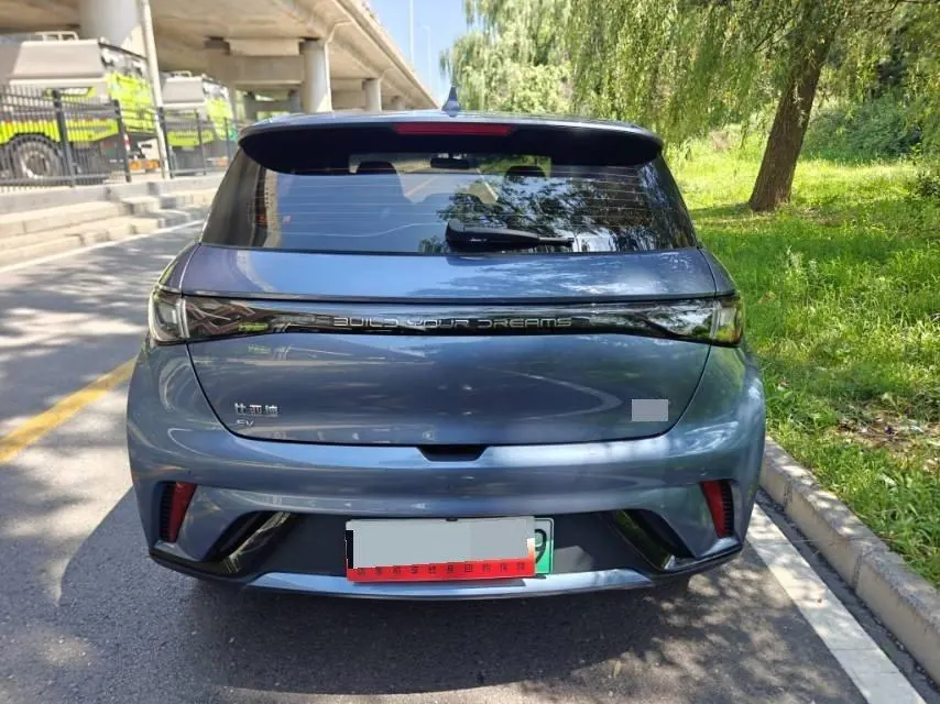 BYD 2025 Dolphins 420km Free Edition Automatic 3