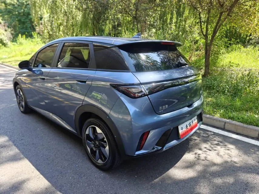 BYD 2025 Dolphins 420km Free Edition Automatic 4