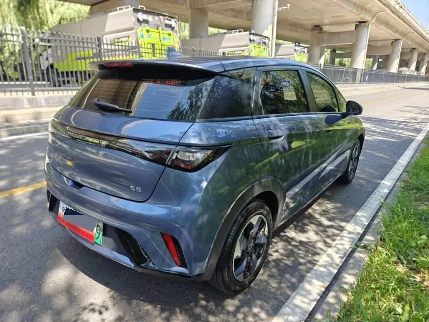 BYD 2025 Dolphins 420km Free Edition Automatic 5