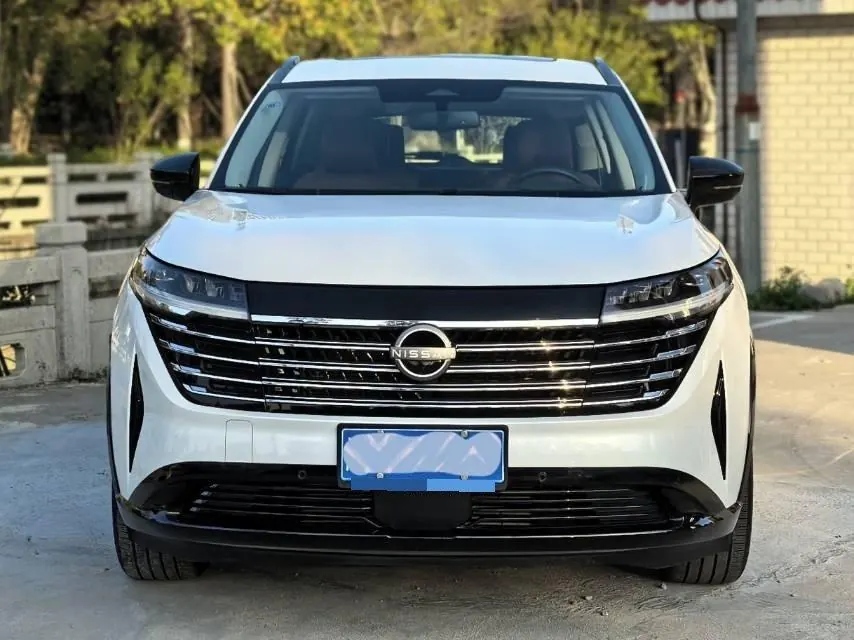 Nissan 2024 Tanlu 2.0T 380VC-TURBO 4-wheel drive Zhizun Edition 6-seat automatic gear 2