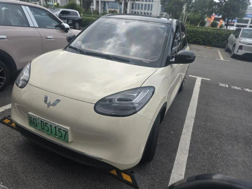WuLing 2024 Plantronics 333km LingBox Connected Automatic Gear - View 1