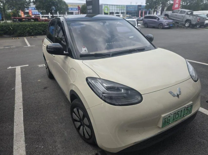 WuLing 2024 Plantronics 333km LingBox Connected Automatic Gear 2