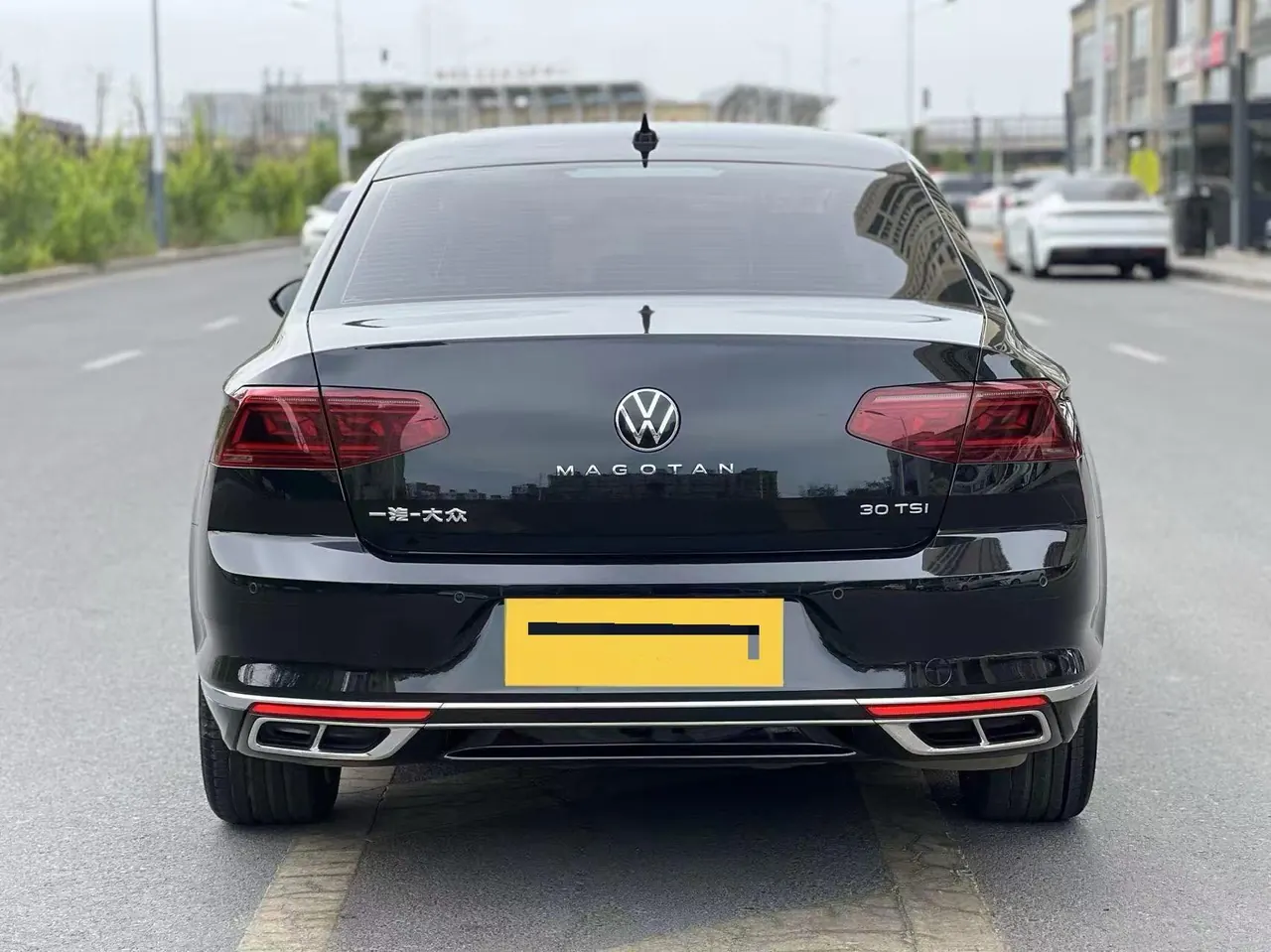 Volkswagen 2020 Magotan 2.0TSI 330TSI Leading Automatic 8