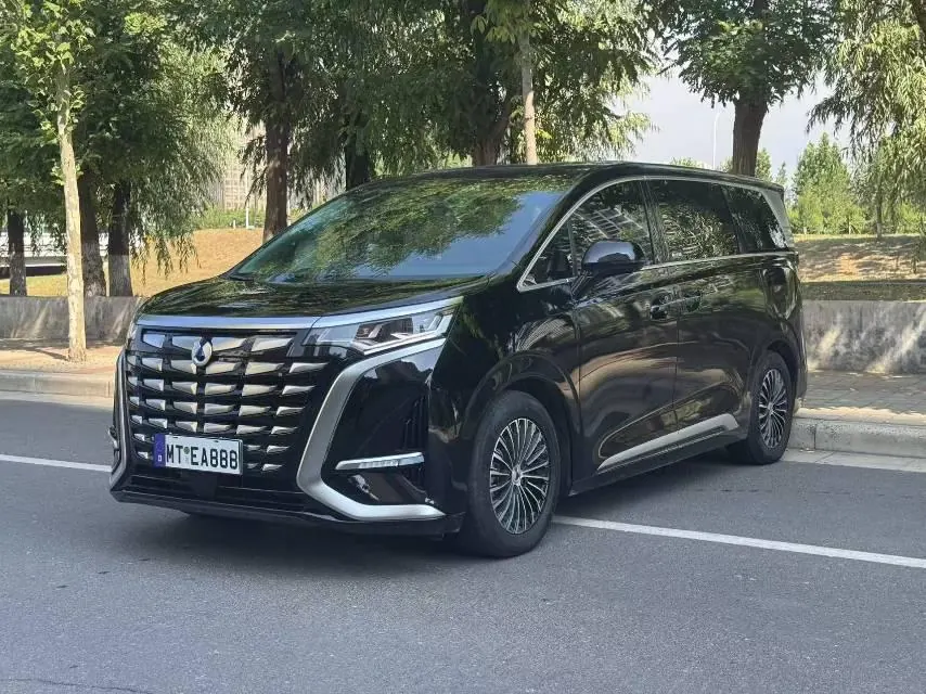 Denza 2024 Denza D9 DM-i 1.5T stepless 980 four-wheel drive distinguished automatic gear - View 1