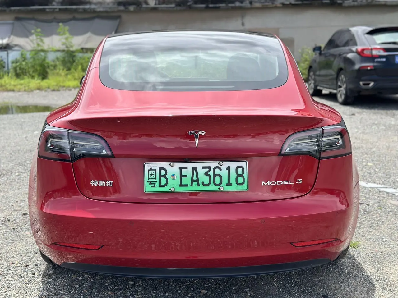 Tesla 2020 Model 3 Standard Endurance Rear Drive Upgraded Automatic Gear 5
